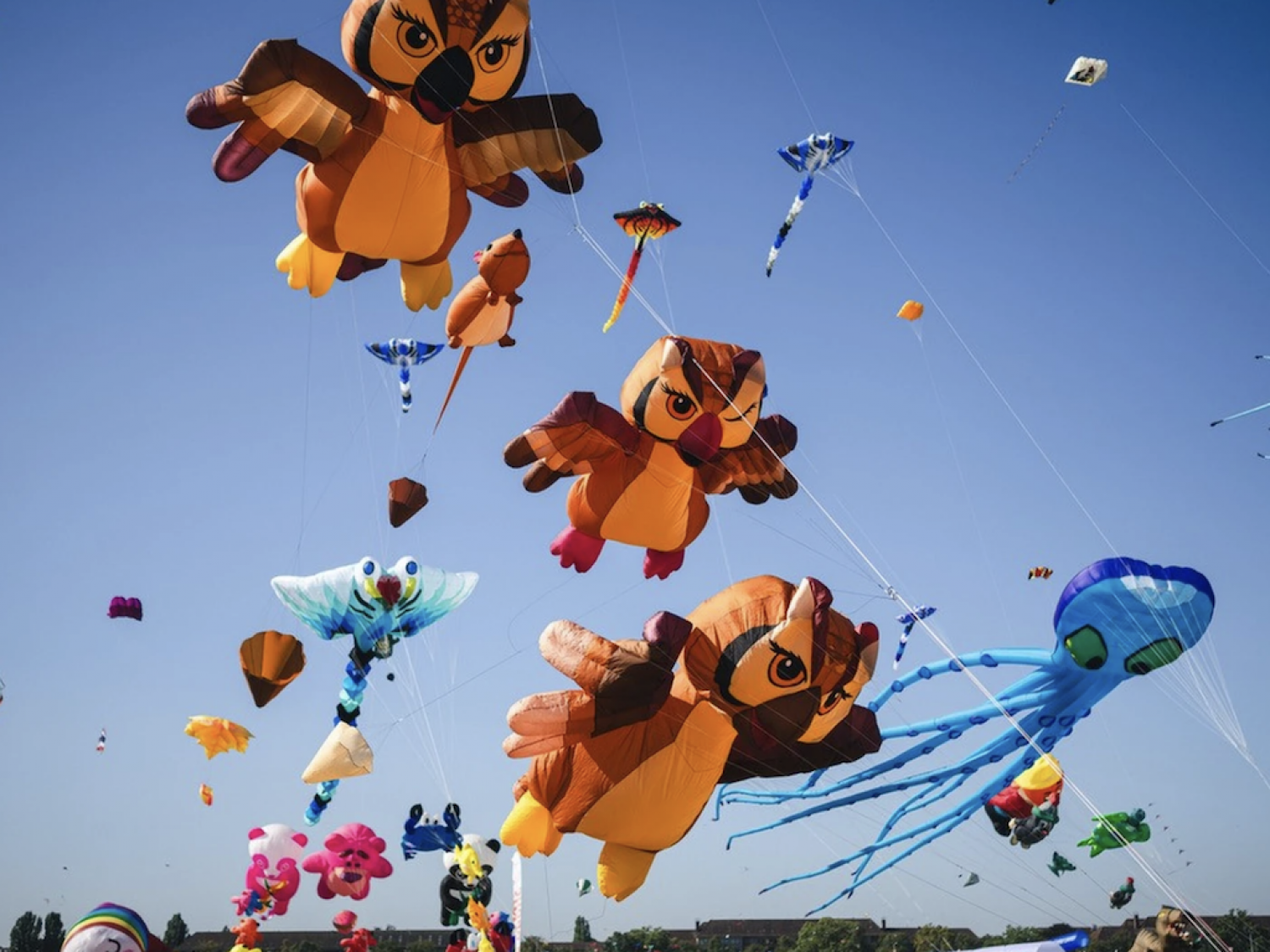 Festival der Riesendrachen 2025 - Wir sind wieder mit dabei!